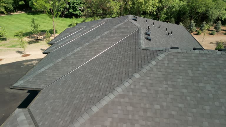 Best Green or Eco-Friendly Roofing Solutions  in Calumet City, IL