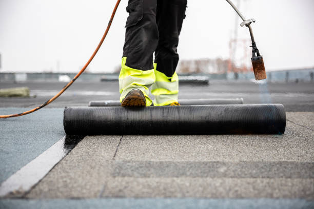 Best Gutter Installation and Repair  in Calumet City, IL