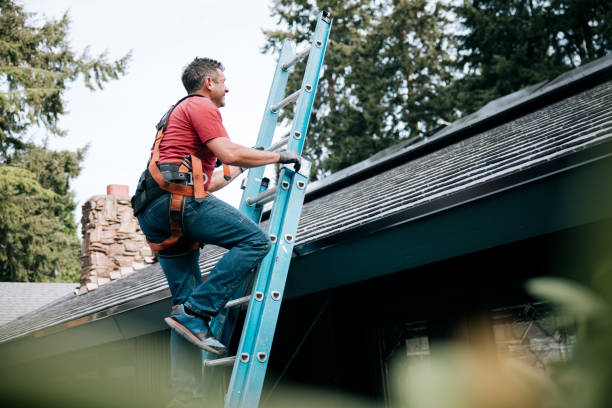 Best Chimney Flashing Repair  in Calumet City, IL